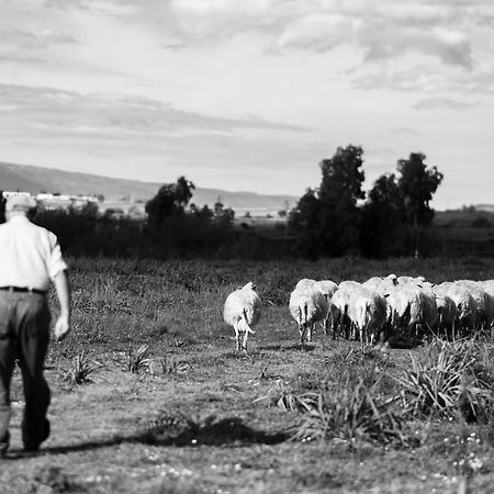 Binzas Betzas Agriturismo Sedilo Luaran gambar