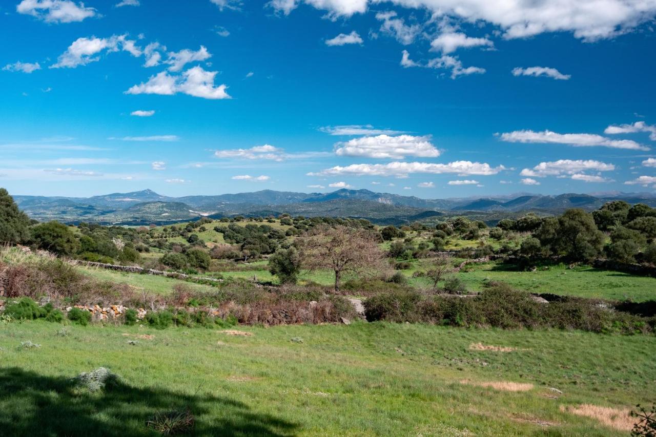 Binzas Betzas Agriturismo Sedilo Luaran gambar